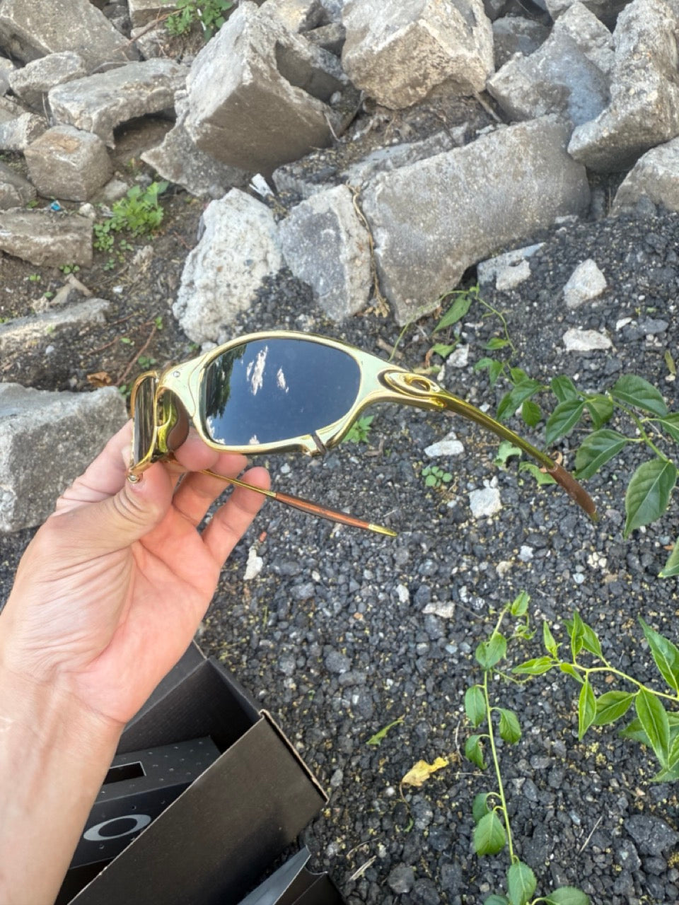 Juliet 24k Gold - Limited Edition 750